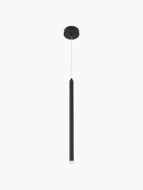 Petite suspension LED Trimle, Noir, Ø 3 x haut. 50 cm