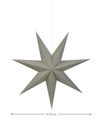 Gwiazda świąteczna z wtyczką Morris, Szary, Ø 75 cm