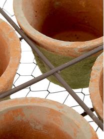 Plantenpottenset Daria van terracotta, 5-delig, Mand: metaal, Terracottarood, bruin, B 24 x H 10 cm