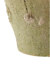 Plantenpottenset Daria van terracotta, 5-delig, Mand: metaal, Terracottarood, bruin, B 24 x H 10 cm