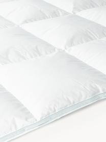 Couette matelassée en duvet Comfort, extra chaude, Extra chaude, larg. 200 x long. 200 cm