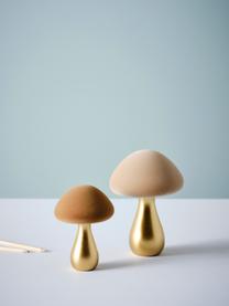 Set 2 funghi decorativi Kalle, Poliresina dal tatto vellutato, Marrone chiaro, dorato, beige, Set in varie misure