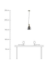 Kleine hanglamp Lebalio van rookglas, Lampenkap: rookglas, Baldakijn: vermessingd metaal, Grijs, Ø 20 cm