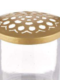 Kleine vazenset Kassandra met deksel, 2-delig, Vaas: glas, Deksel: roestrvrijstaal, Transparant, messingkleurig, Set met verschillende groottes