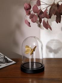 Decoratief object Butterfly, Object: kunststof, Stolp: glas, Goudkleurig transparant, zwart, Ø 12 x H 17 cm