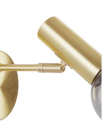 Kinkiet regulowany ze szklanym kloszem wtyczką Wilson, Stelaż: metal mosiądzowany, Odcienie złotego, szary, G 22 x W 22 cm