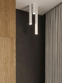 Faretto da soffitto Castro, alt. 60 cm, Acciaio rivestito, Bianco opaco, Ø 6 x Alt. 60 cm