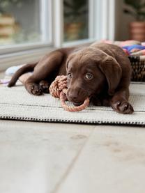 Jouet pour chien Otto, 100% coton, Brun clair, Ø 7 x long. 22 cm