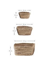 Aufbewahrungskörbe Nangloi, 3er-Set, Wasserhyazinthe, Braun, Set mit verschiedenen Grössen