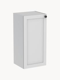 Nástěnná koupelnová skříňka Rafaella, Š 40 cm, Světle šedá, Š 40 cm, V 85 cm