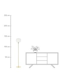 Lámpara de pie Sober, Pantalla: vidrio opalino, Pantalla: vidrio, Cable: cubierto en tela, Blanco, dorado, Ø 25 x Al 141 cm