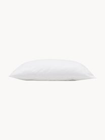 Garnissage de coussin 50x50 en microfibre Sia, Blanc, larg. 50 x long. 50 cm