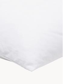 Garnissage de coussin 50x50 en microfibre Sia, Blanc, larg. 50 x long. 50 cm