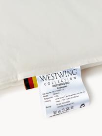 Vankúš z organického páperia a bavlny Comfort, mäkký, Mäkký, Š 80 x D 80 cm