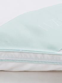 Couette pur duvet Premium, extra chaude, Extra chaude, larg. 200 x long. 200 cm