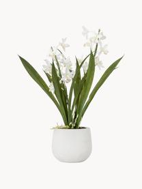 Ručně vyrobená umělá květina s květináčem Orchid, Zelená, bílá, D 41 cm