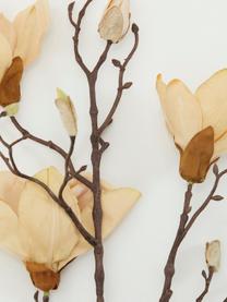 Flor artificial Magnolia, Plástico (PVC), alambre de acero, Beige, marrón, An 2 x L 15 cm