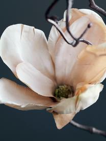 Flor artificial Magnolia, Plástico (PVC), alambre de acero, Beige, marrón, An 2 x L 15 cm