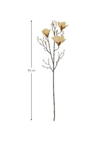 Flor artificial Magnolia, Plástico (PVC), alambre de acero, Beige, marrón, An 2 x L 15 cm