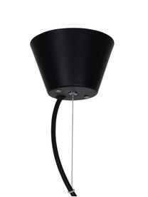 Suspension vertigo noire Ray, Noir