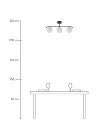 Lámpara de techo de vidrio opalino Grant, Estructura: metal recubierto, Anclaje: metal recubierto, Blanco, negro, L 70 x Al 30 cm