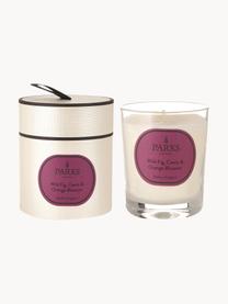 Vonná svíčka Aromatherapy (fík, černý rybíz a pomeranč), Transparentní, bílá, růžová, Ø 8 cm, V 9 cm