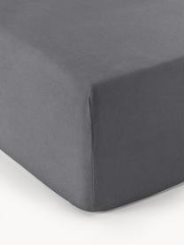 Boxspring-Spannbettlaken Biba, Flanell, Webart: Flanell, Dunkelgrau, B 200 x L 200 cm, H 35 cm