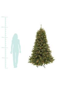 Künstlicher LED Weihnachtsbaum Forest, Dunkelgrün, Ø 119 x H 155 cm