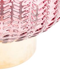 Vase en verre rose Barfly, Rose, transparent