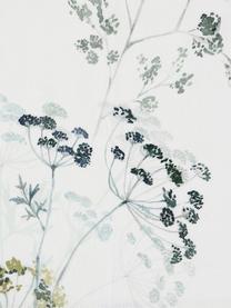 Placemats Herbier met aquarel print, 2 stuks, Katoen, Wit, groentinten, B 38 x L 50 cm
