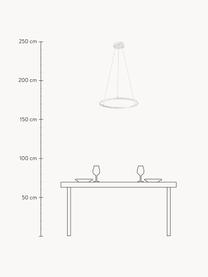 LED-Pendelleuchte Breda, Lampenschirm: Metall, beschichtet, Baldachin: Metall, beschichtet, Weiss, Ø 50 x H 150 cm
