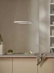 LED hanglamp Breda, Lampenkap: gecoat metaal, Baldakijn: gecoat metaal, Wit, Ø 50 cm