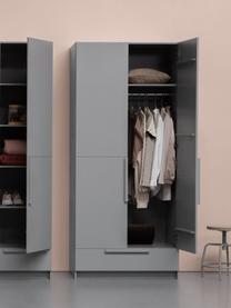 Armario Pure, 2 puertas, Madera de pino recubierta, Gris, An 95 x Al 215 cm