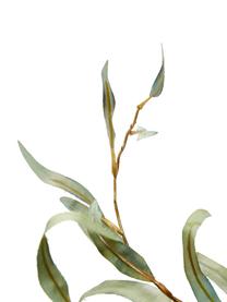 Fleur d’eucalyptus artificielle Pati, Vert