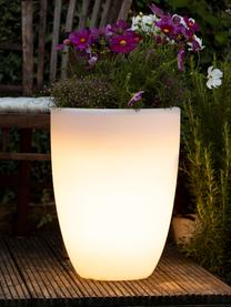 Vloerlamp Shining Curvy Pot met stekker, Lamp: kunststof, Wit, Ø 39 x H 39 cm