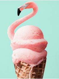 Federa reversibile in turchese Flamingo, 100% poliestere, Turchese, rosa, beige, nero, Larg. 40 x Lung. 40 cm