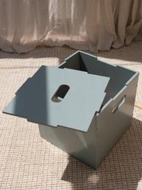 Holz-Aufbewahrungsbox Cube, Birkenholzfurnier, lackiert

Dieses Produkt wird aus nachhaltig gewonnenem, FSC®-zertifiziertem Holz gefertigt., Salbeigrün, B 36 x T 36 cm