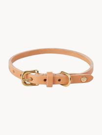 Haustier-Halsband Robin aus Leder, verschiedene Grössen, Verschluss: Messing, Peach, L 58 cm