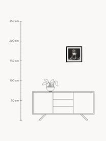 Digitálna tlač s rámom Moh.Ali, Čierna, biela, Š 40 x V 40 cm