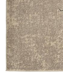 Designteppich Celestial in Beige, Flor: 100% Polypropylen, Beigetöne, B 275 x L 370 cm (Größe XL)