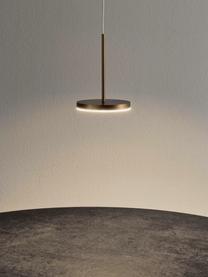 Kleine LED hanglamp Bella, Goudkleurig, donker, Ø 10 x H 14 cm