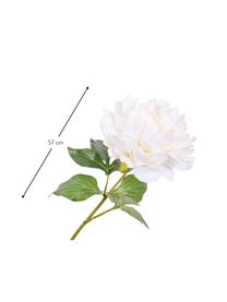 Flor artificial Pfingstrose, Plástico, alambre de metal, Blanco, L 57 cm