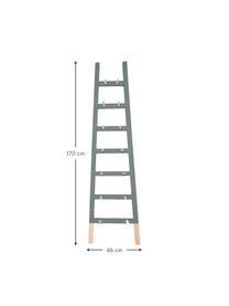 Estantería escalera de pared Helia, Madera de pino, recubierta, Gris, madera de pino, An 46 x Al 170 cm