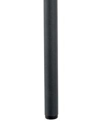 Sedia a poltrona in velluto bianco Zoe, Rivestimento: velluto (poliestere) Il r, Struttura: metallo verniciato a polv, Teddy bianco crema, Larg. 67 x Prof. 66 cm