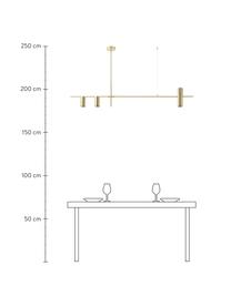 Große Pendelleuchte Cassandra, Baldachin: Metall, galvanisiert, Goldfarben, matt, B 143 x H 73  cm