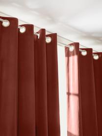 Cortinas oscurecedoras de terciopelo con ojales Rush, 2 uds., 100% poliéster (reciclado) con certificado GRS, Rojo cobrizo, An 135 x L 260 cm