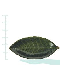 Saladier en forme de feuille Amazzonia, 16x34 cm, Vert