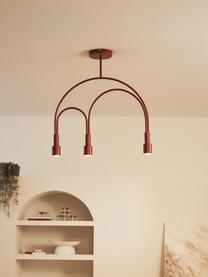 Lampada da soffitto Mia, Struttura: metallo verniciato a polv, Rosso, Larg. 64 x Alt. 67 cm