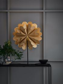 Verlichte kerstster Neela, handgemaakt, Lichtbruin, zwart, B 45 x H 68 cm