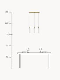 Dimmbare Pendelleuchte Cluster, Lampenschirm: Glas, Transparent, Goldfarben, B 50 x H 204 cm